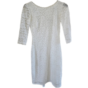 Laundry by Shelli Segal Cream Lined Long Sleeve Zipper Lace Dress-Size 4